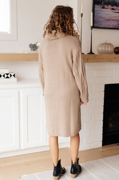 Bundled Beauty Turtleneck Sweater Dress - Molliee Boutique