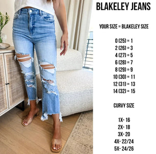 PREORDER: Urban Distressed Jeans - Molliee Boutique